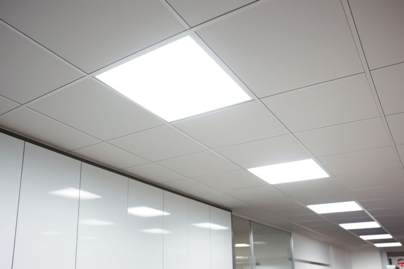 Drop Ceiling Service