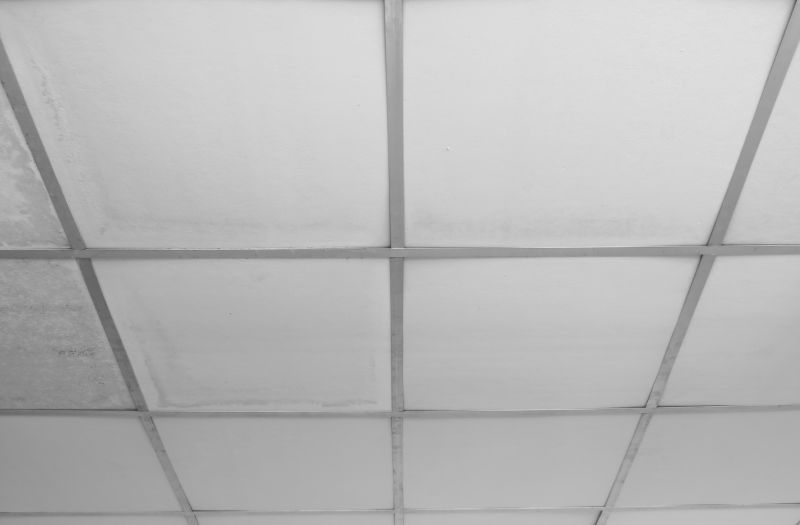 Grid Ceiling Repair in Longmont, CO